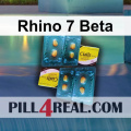Rhino 7 Beta 403