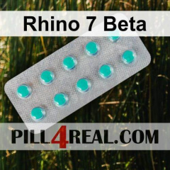 Rhino 7 Beta 451