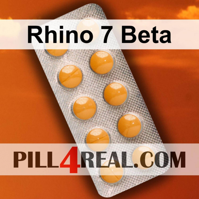 Rhino 7 Beta 537