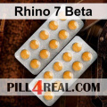 Rhino 7 Beta 561