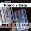 Rhino 7 Beta 577