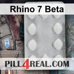 Rhino 7 Beta 661