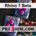 Rhino 7 Beta 729