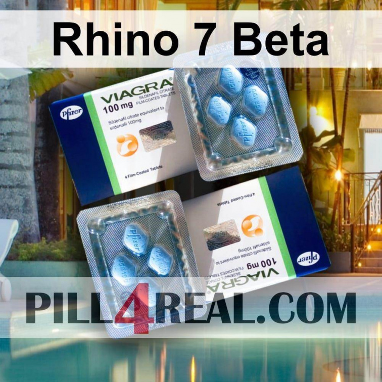 Rhino 7 Beta 731