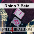 Rhino 7 Beta 747