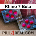 Rhino 7 Beta 863