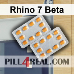 Rhino 7 Beta 930