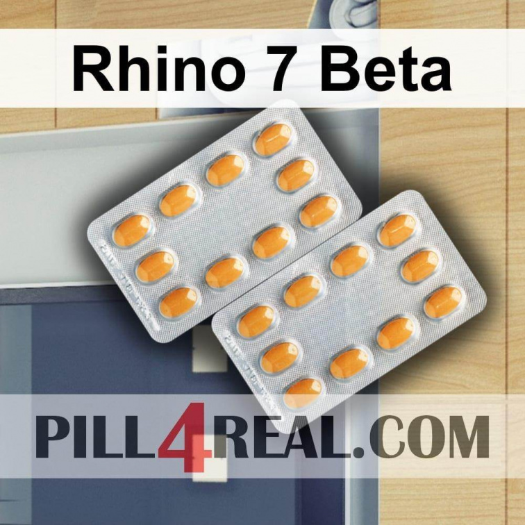 Rhino 7 Beta 930
