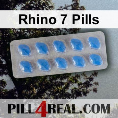 Rhino 7 Pills 248