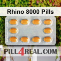 Rhino 8000 Pills 357