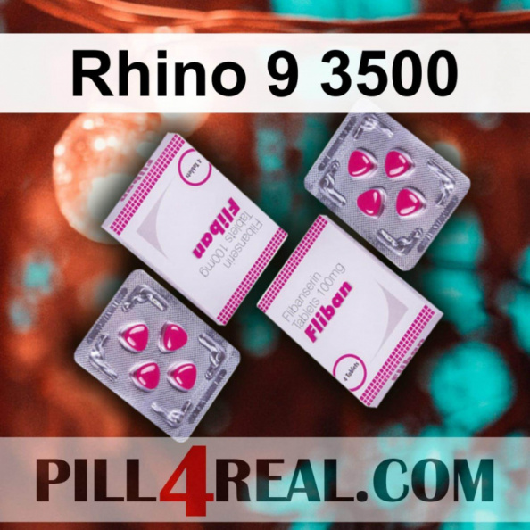 Rhino 9 3500 091
