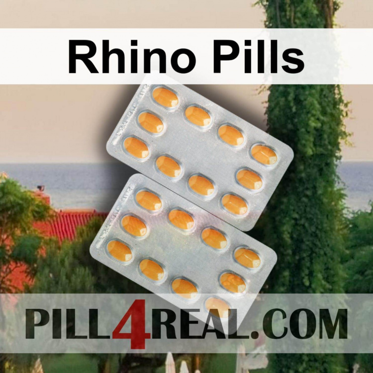 Rhino Pills 477