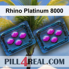 Rhino Platinum 8000 213