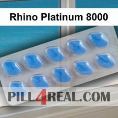Rhino Platinum 8000 354