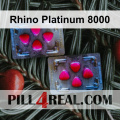 Rhino Platinum 8000 580