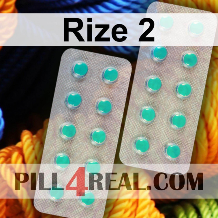 Rize 2 210
