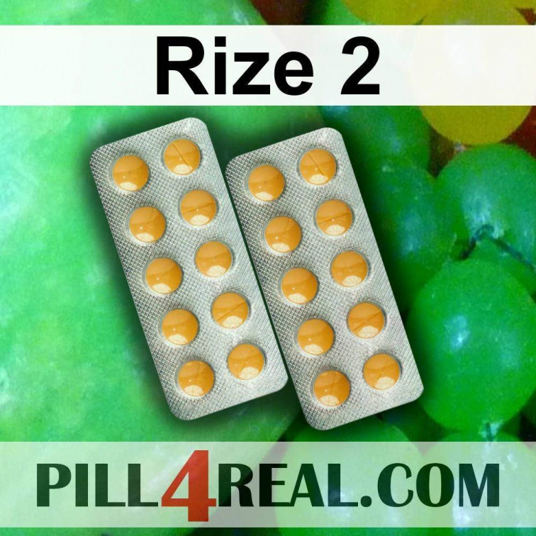 Rize 2 333