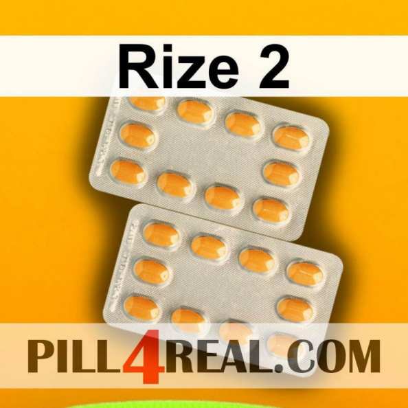 Rize 2 450