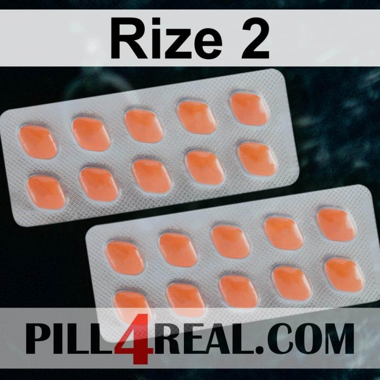 Rize 2 834