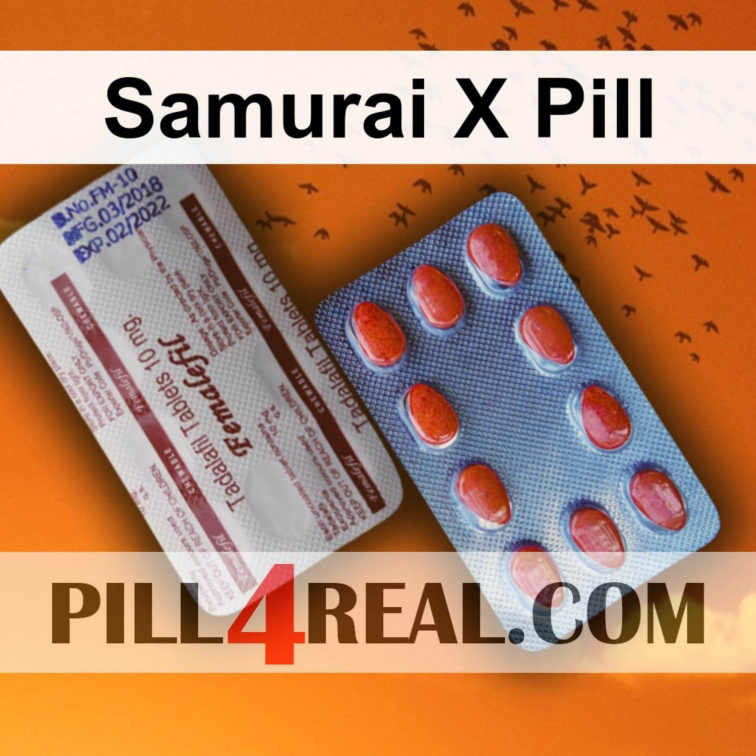 Samurai X Pill 710