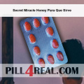 Secret Miracle Honey Para Que Sirve 073