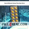 Secret Miracle Honey Para Que Sirve 285