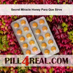 Secret Miracle Honey Para Que Sirve 882