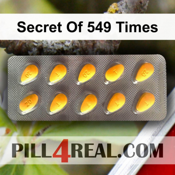 Secret Of 549 Times 049