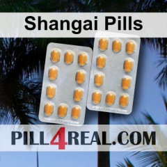 Shangai Pills 484