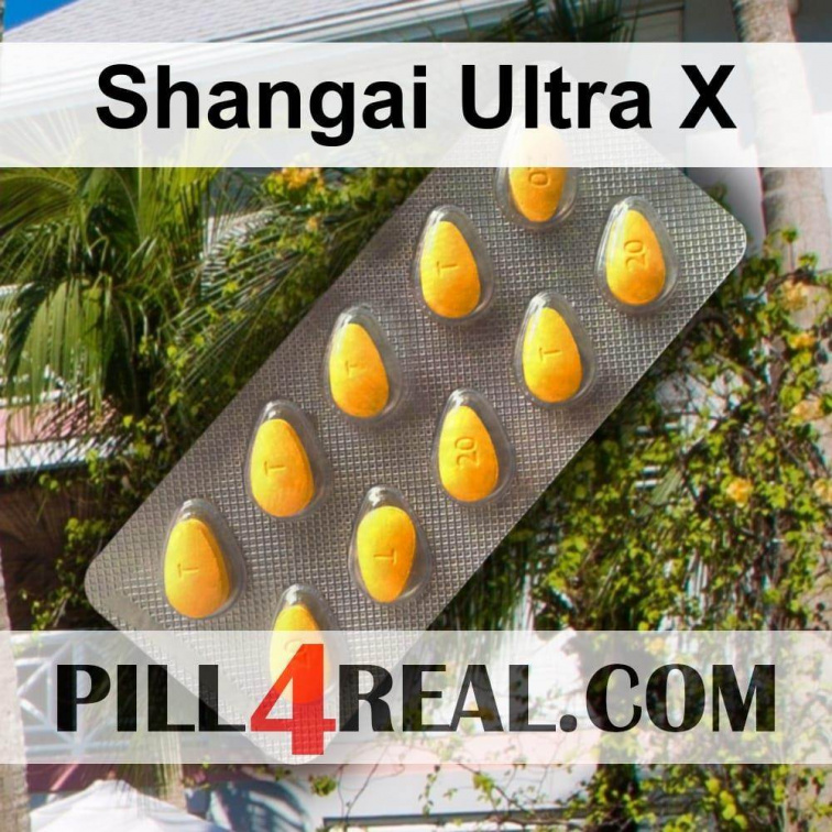 Shangai Ultra X 002