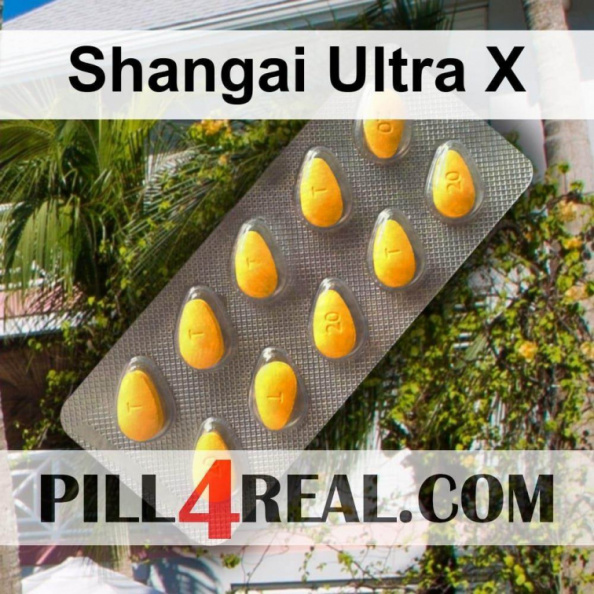 Shangai Ultra X 002