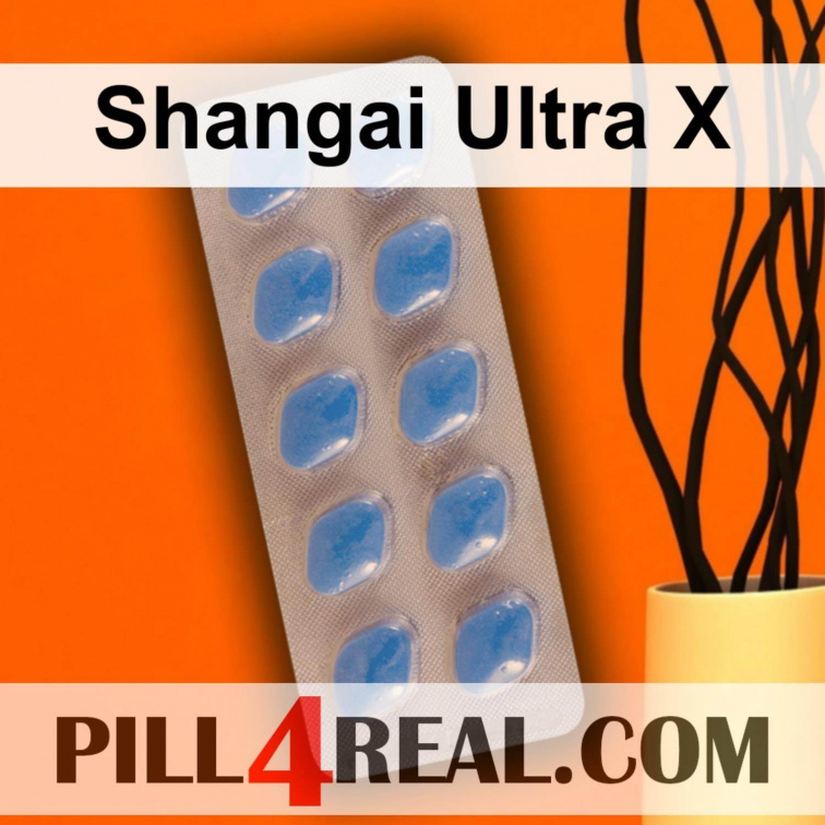 Shangai Ultra X 042