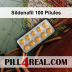 Sildenafil 100 Pilules 028