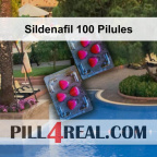 Sildenafil 100 Pilules 059