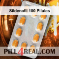Sildenafil 100 Pilules 093