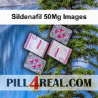 Sildenafil 50Mg Images 188