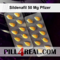 Sildenafil 50 Mg Pfizer 338