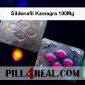Sildenafil Kamagra 100Mg 044