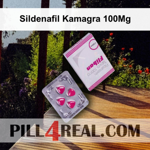 Sildenafil Kamagra 100Mg 088