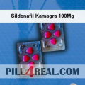 Sildenafil Kamagra 100Mg 522