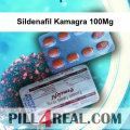 Sildenafil Kamagra 100Mg 920