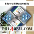 Sildenafil Masticabile 831