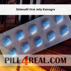 Sildenafil Oral Jelly Kamagra 276