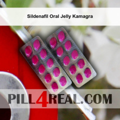 Sildenafil Oral Jelly Kamagra 533