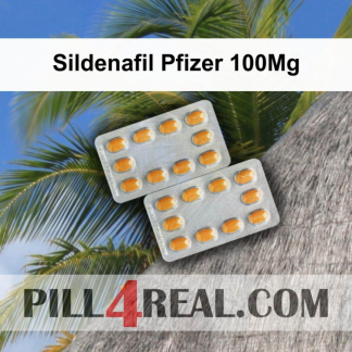Sildenafil Pfizer 100Mg 219