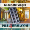 Sildenafil Viagra 375