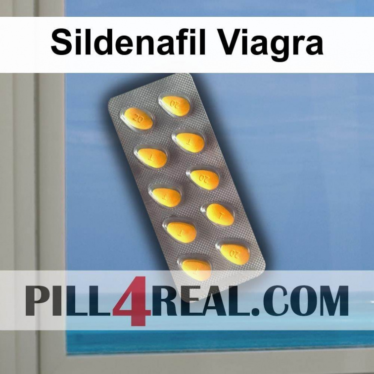 Sildenafil Viagra 451