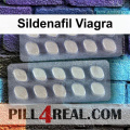 Sildenafil Viagra 484