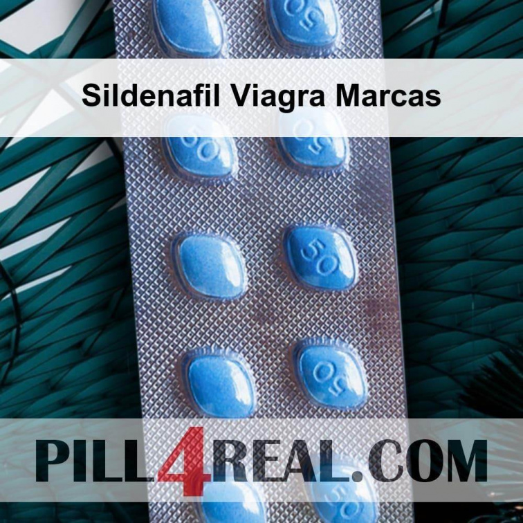 Sildenafil Viagra Marcas 947