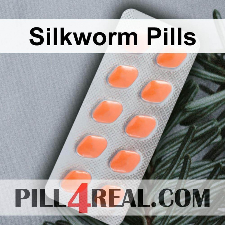 Silkworm Pills 711